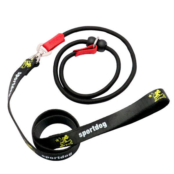 Dog Training Slip Lead