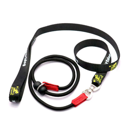 Dog Training Slip Lead
