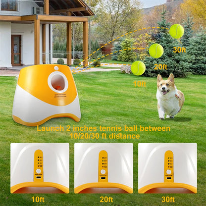 Mini Tennis  Ball Automatic Launcher Interactive Throw Toy