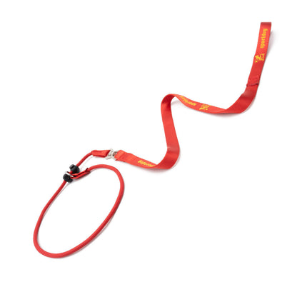 Dog Training Slip Lead