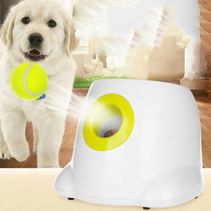 Automatic Dog Ball Launcher | Interactive Fetch Machine